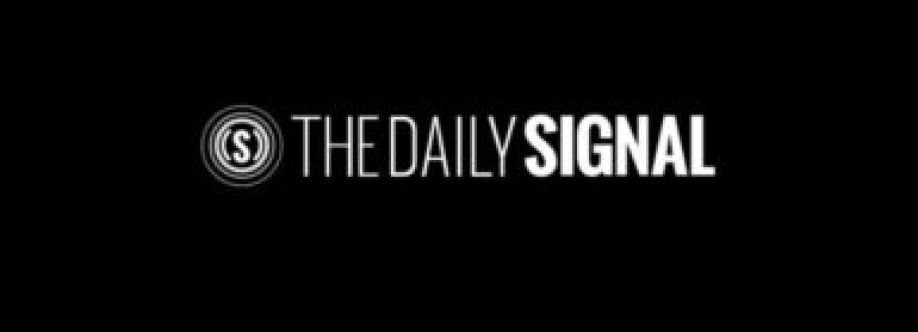 Daily Signal Feed