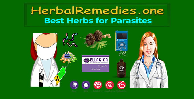#1 Best Herbs for Parasites - Natural Remedies for Parasites
