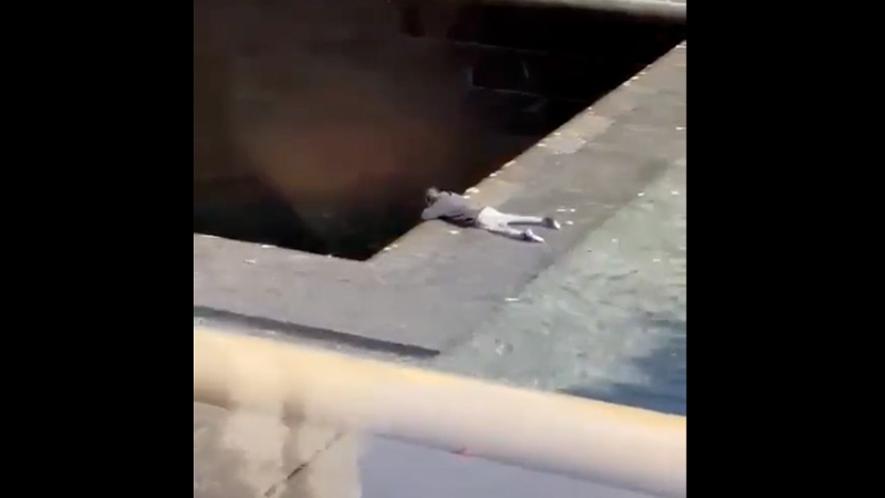 Wild Video: Bloody Man Dives Headfirst Into 9/11 Memorial Pool