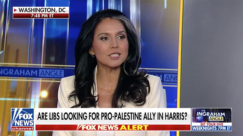 Tulsi Gabbard: LGBTQ+ Activists At Pro-Palestine Marches “Don’t Understand” Islamists Want To Kill Them