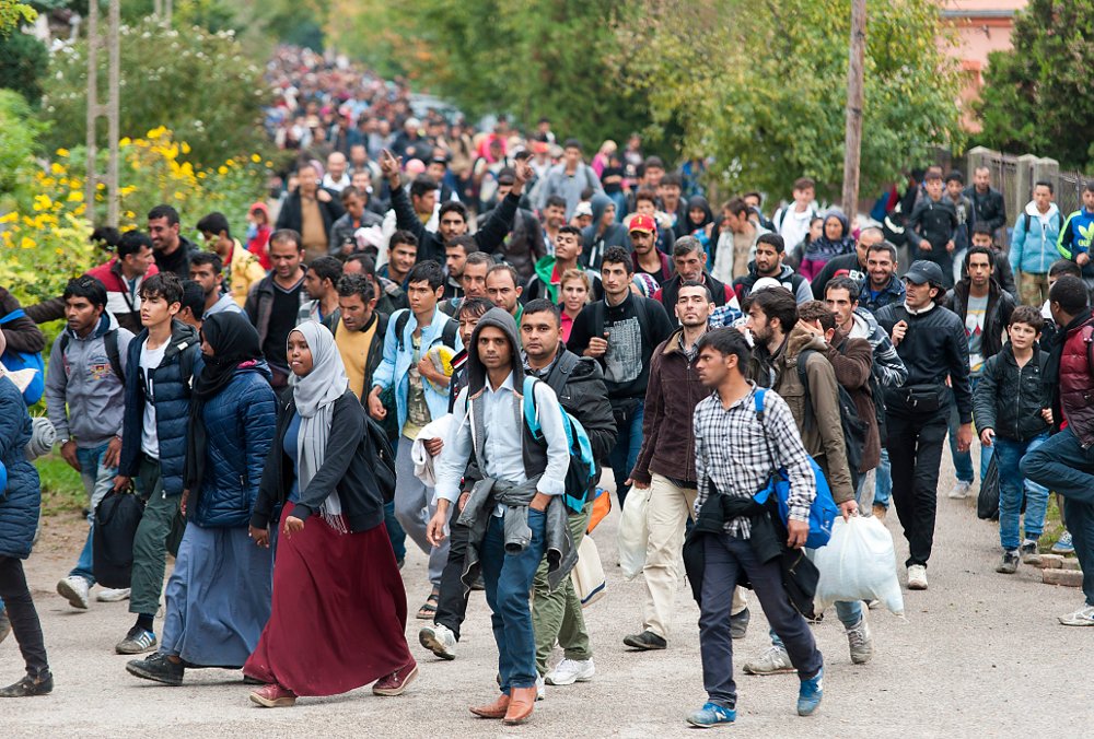 Survey reveals majority in Germany support ending acceptance of immigrants from Islamic countries | Voice of Europe