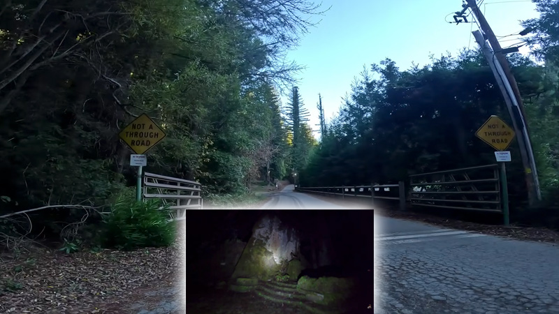 Video: Man Sneaks Into Bohemian Grove, Finds Site of Bizarre Pagan Ritual
