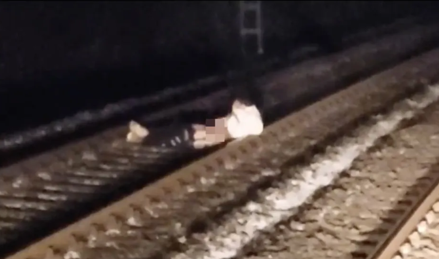 Germany: Afghan migrant masturbating on train tracks halts rail traffic across Kassel region