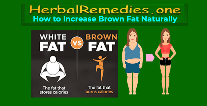 How to Increase Brown Fat Naturally - #1 Best Fat Burning