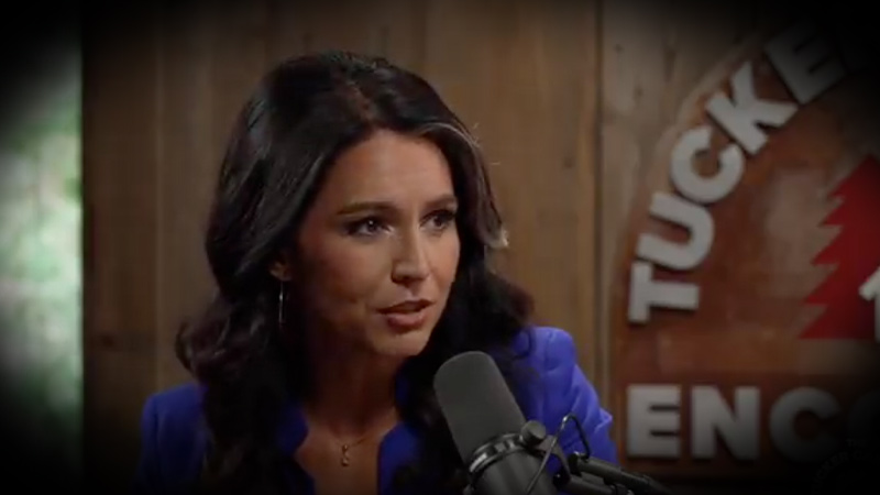 Tulsi Gabbard: ‘Not A Leap Of Imagination’ That Hillary Clinton & Barack Obama Running Biden Admin