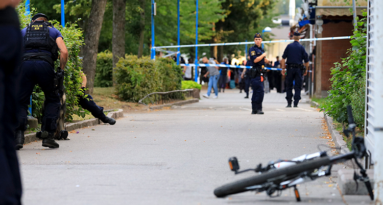 Swedish nationalists call for declaration of war on gangs after father shot dead in front of son