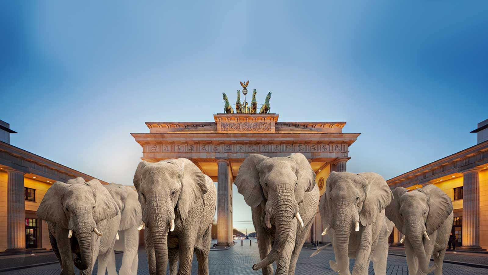 'You try living with them!' — Botswana offers 20,000 elephants to Germany