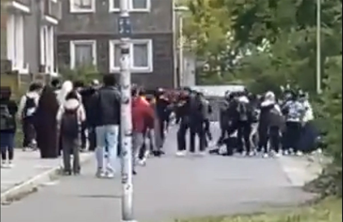 Germany: Several injured after migrant gang trespassed on school grounds to attacked student in mass brawl