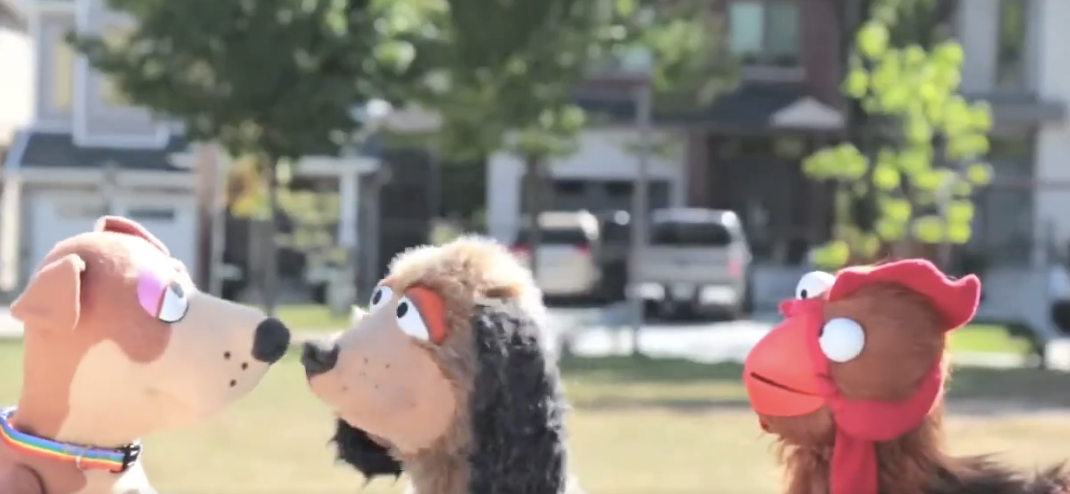 Fourth Graders Told Dogs Can Identify as Cats - Todd Starnes