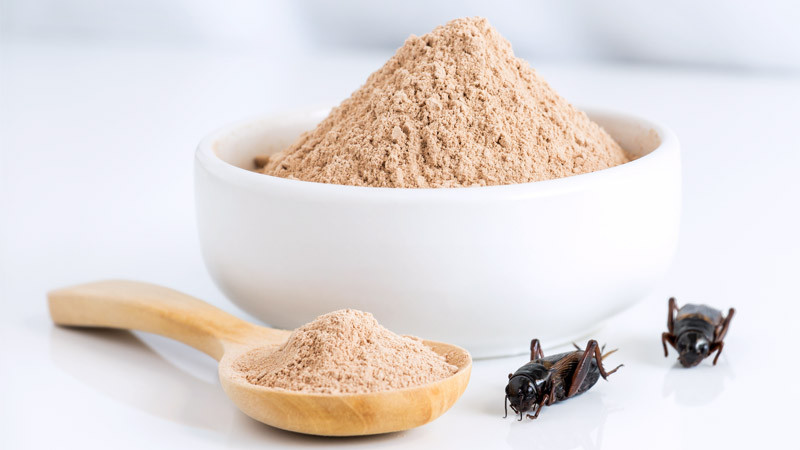 Democrats Block Amendment to Require Informing People if They’re Eating Bugs