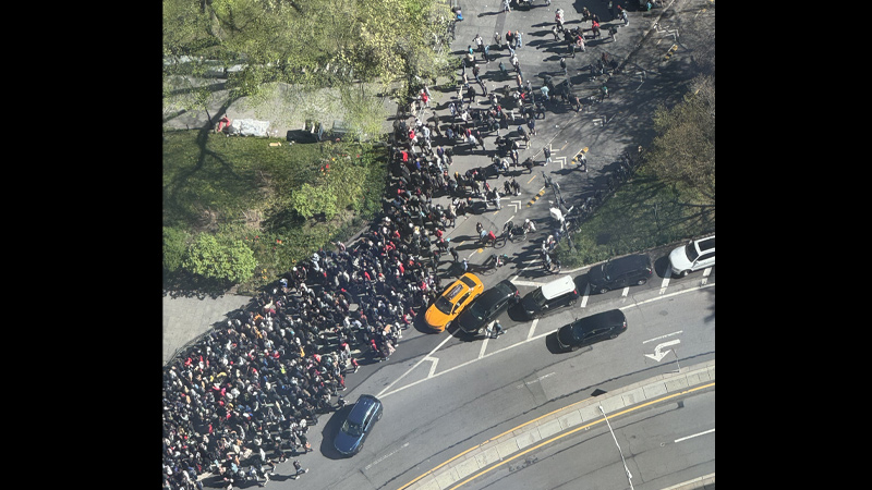 African Illegals Flood New York City Hall to Protest Move from Luxury Hotels to NGO Shelters