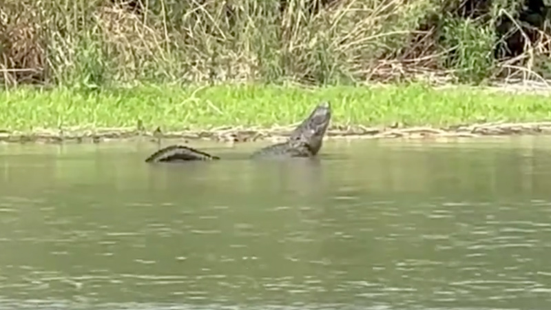 TX Gov Warns Illegals: ‘Alligators in Rio Grande. Cross at Your Own Risk!’