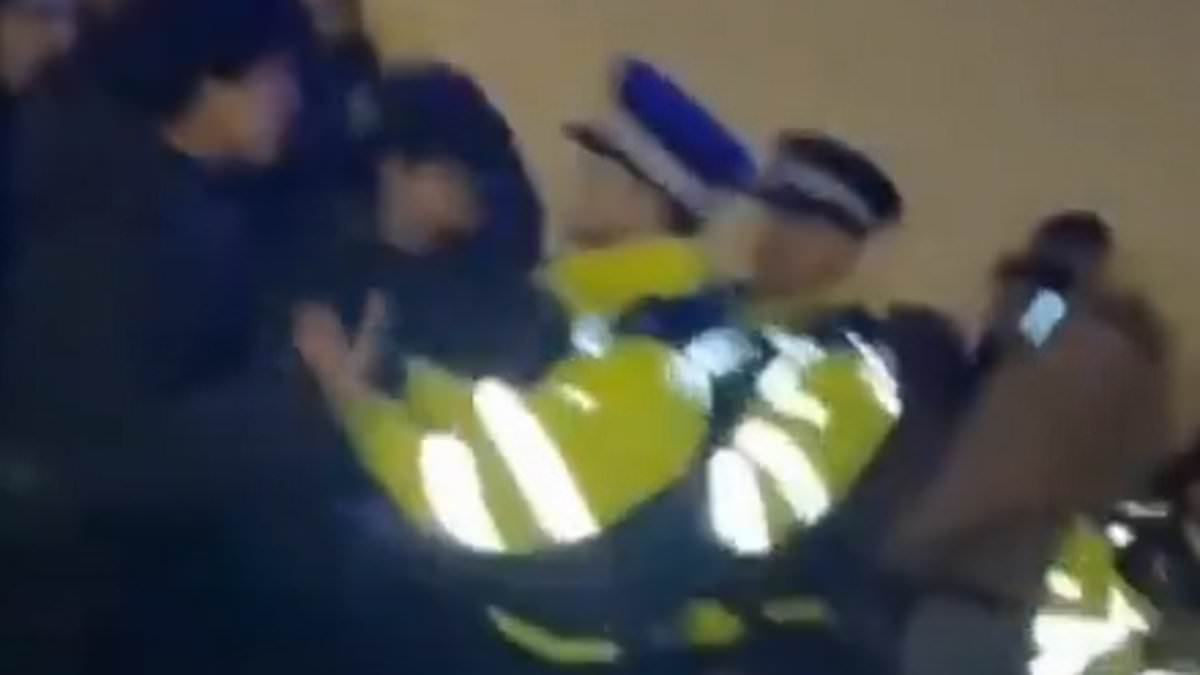 Eid celebrations rioters were high on drink or drug say Muslim community leaders after barrage of missiles were hurled at baton-wielding police | Daily Mail Online
