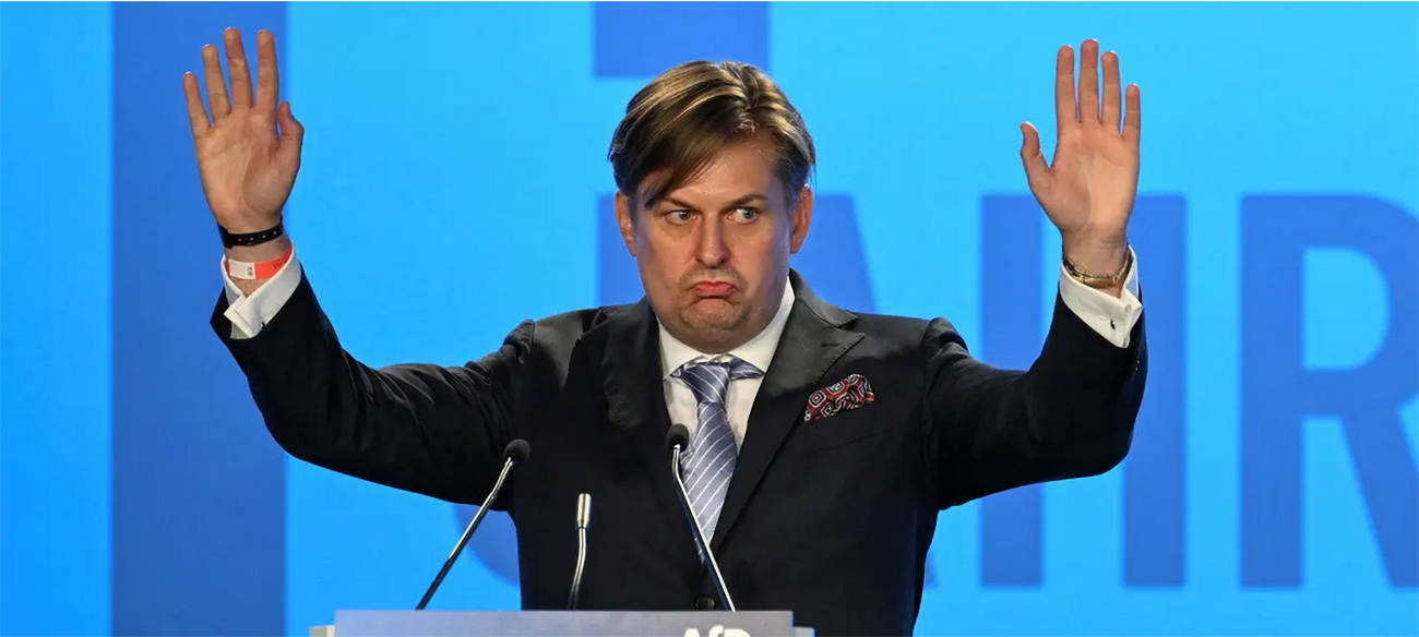 AfD expelled from right-wing Identity and Democracy group in European Parliament