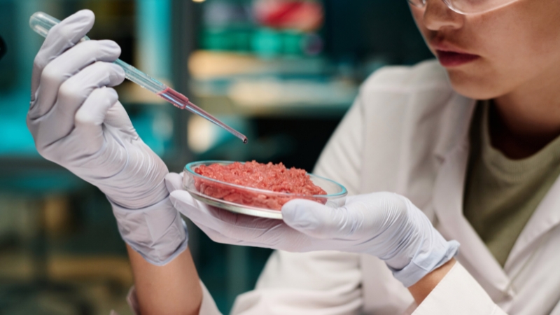 Lab-Grown Meat Banned in Second State: Alabama Follows Florida’s Lead