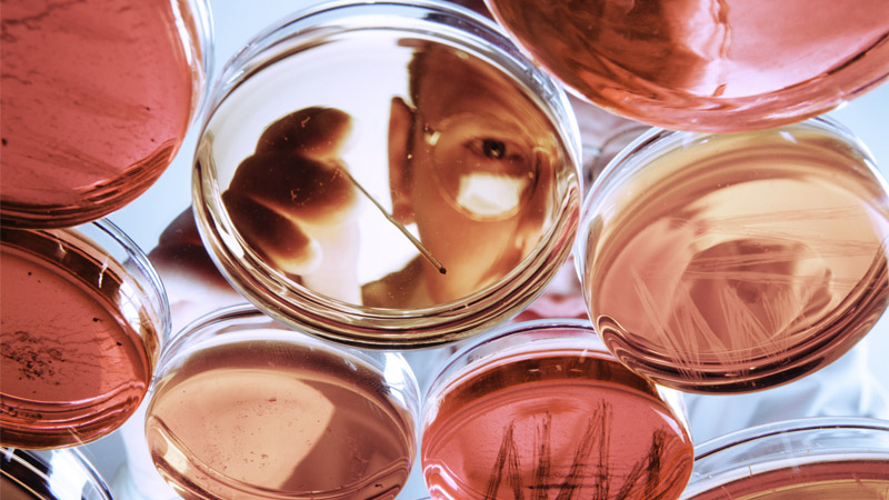 Gain of Function: Chinese Scientists Create Mutant Ebola Virus to Skirt Around Biosafety Rules