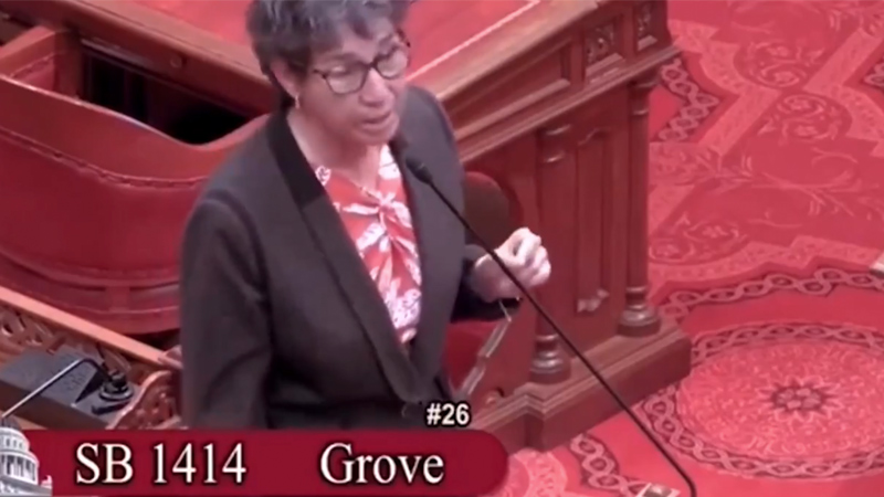 Watch: Dem Calif. State Senate Blasts Democrats for Protecting Pedophiles to Keep Black, Brown Men Out of Prison