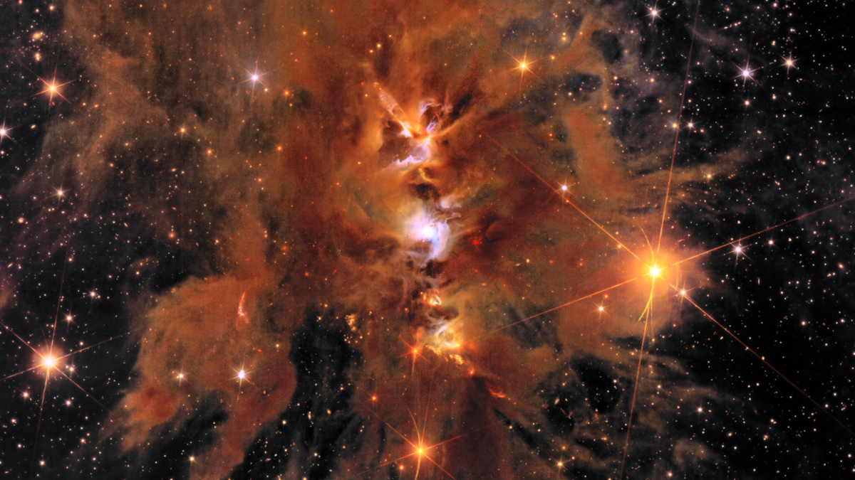 The Euclid 'dark universe detective' telescope has revealed new images of the cosmos — and they are remarkable | Space