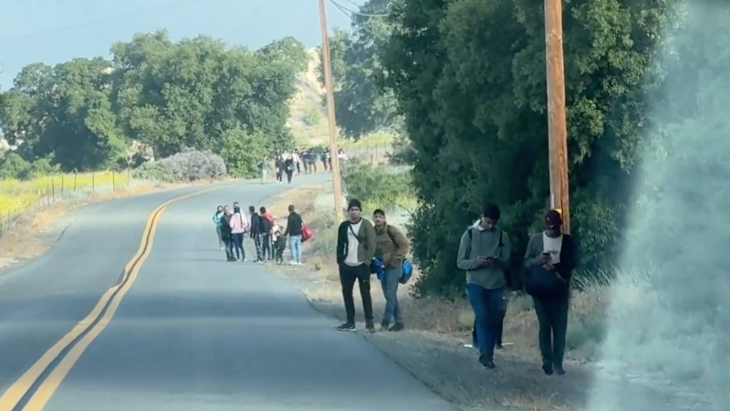 Illegals “Sick of Waiting” for Border Patrol Hop Lyft Ride in California