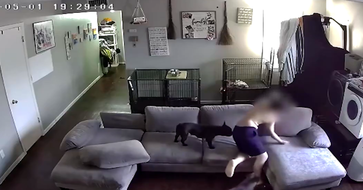 Shocking Video Shows 9YO Dodge Bullets from Drive-By Shooting – Sense of Truth