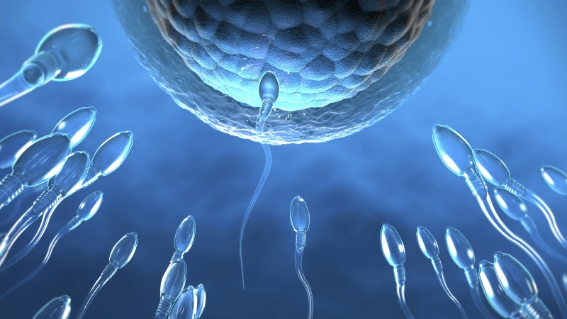 Mainstream Media Admits Global Fertility Falling, Won’t Say Why