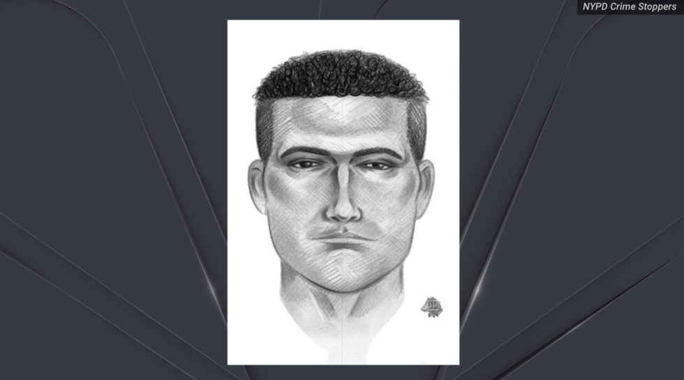 NYPD Pledges Hefty $10K Bounty for Savage Beast Behind Horrific Attack on Two Innocent 13-Year-Olds – One Suffers Sexual Assault! – Steadfast Nation