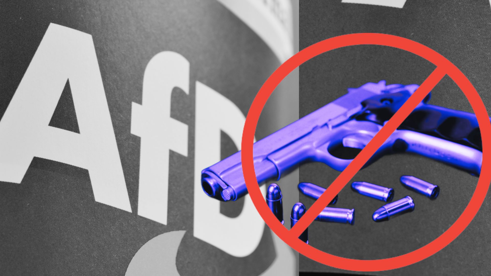 Germany: AfD members banned from owning guns in new court ruling