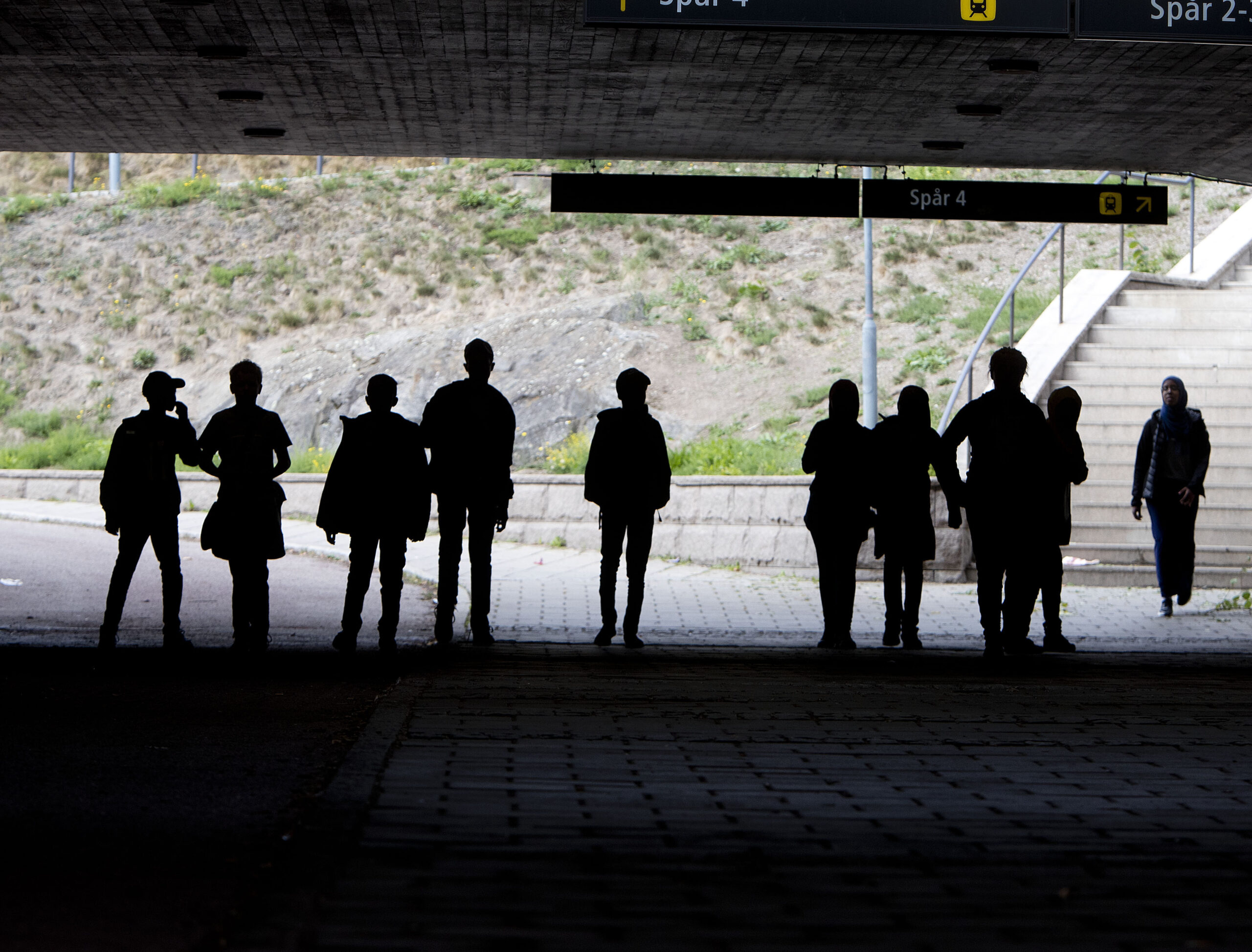 Swedish criminal gangs expanding operations to Iceland, Icelandic justice minister claims