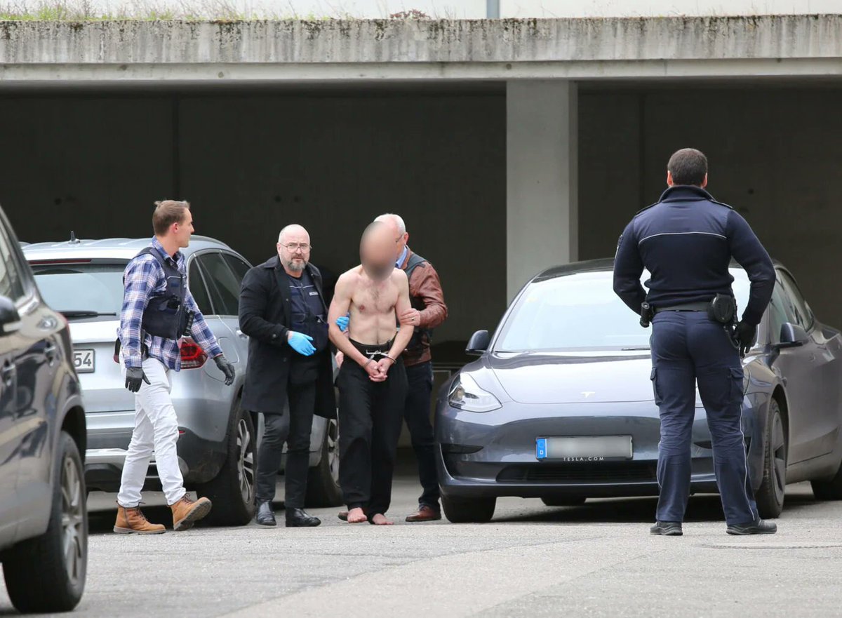 Syrian migrant who brutally stabbed a 4-year-old girl will serve no prison time