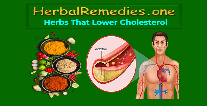 #! Herbs that Lower Cholesterol - Best Cholesterol Balancers