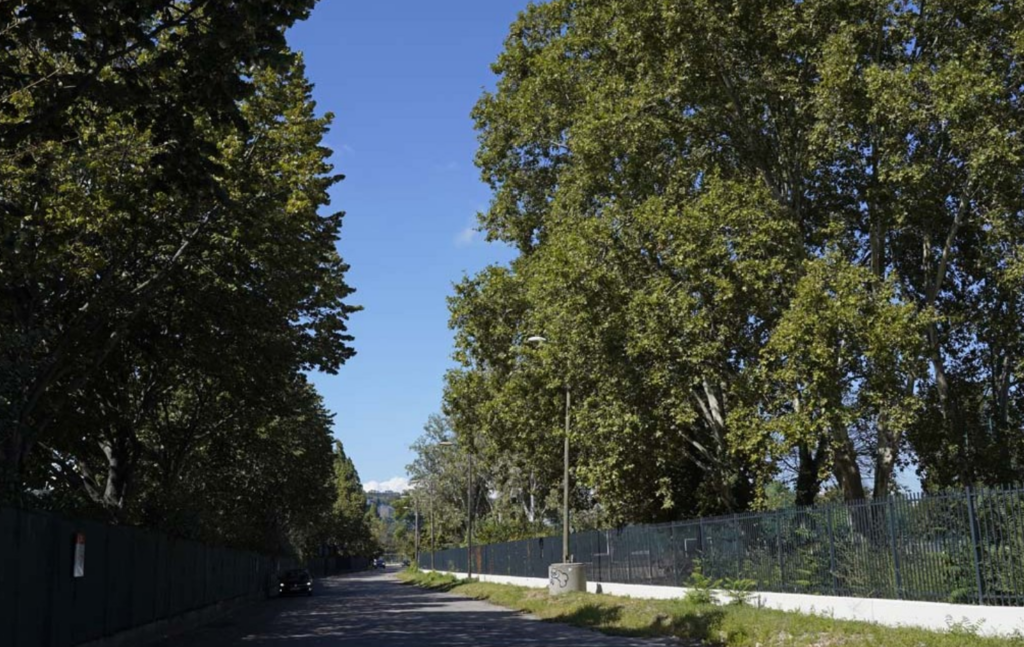 Migrant arrested in Lyon for masturbating in front of children dressed in thong and fishnets