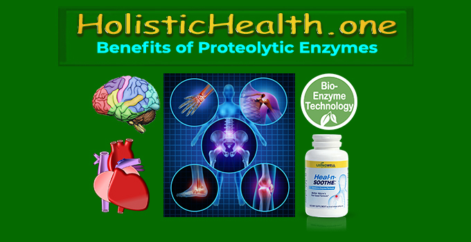 Proteolytic Enzymes - Holistic Health