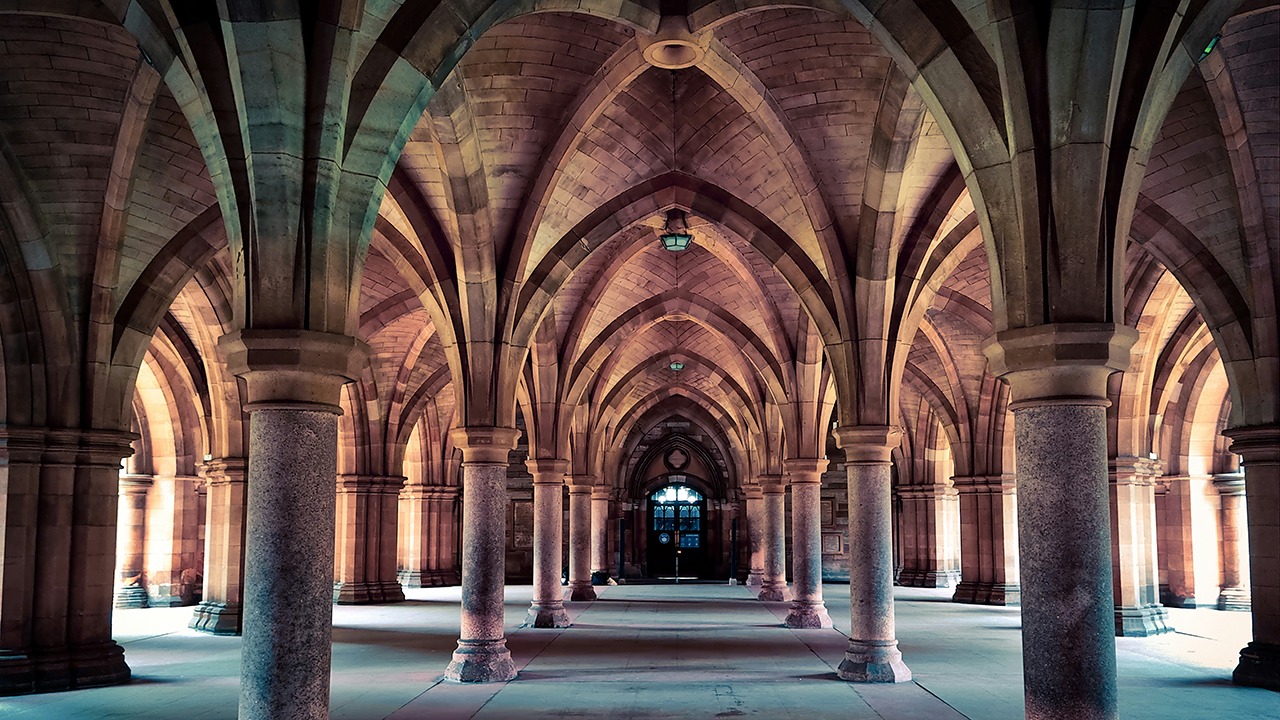 Universities Claim Saying “The Most Qualified Person Should Get The Job” Is ‘Discriminatory’ - modernity