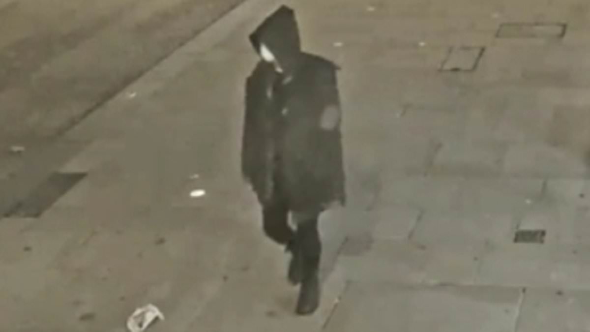 Sinister moment 'Don't F*** with Cats' killer prowls streets before picking random stranger and beating him to death - after putting cat in a blender and saying she wanted to 'learn how to do this to a person one day' | Daily Mail Online