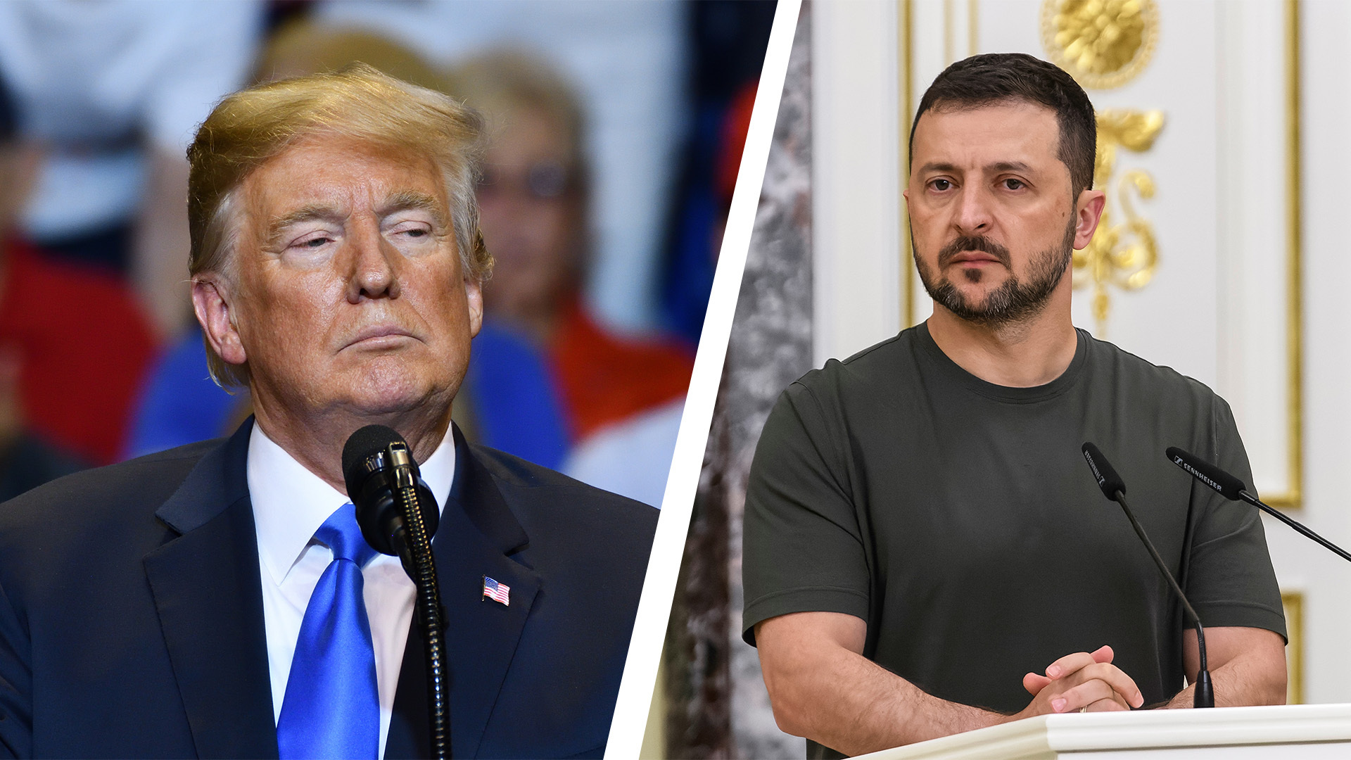 'Zelensky killed an American journalist' – As potential peace deal for Ukraine looms, Musk and Trump target Zelensky in war of words