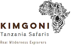 Safaris in Tanzania - Tanzania luxury Safari Lodges - Kimgoni Tanzania Safaris