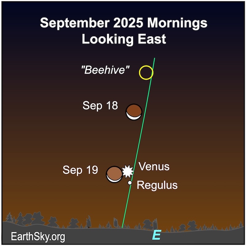 Visible planets and night sky guide for September