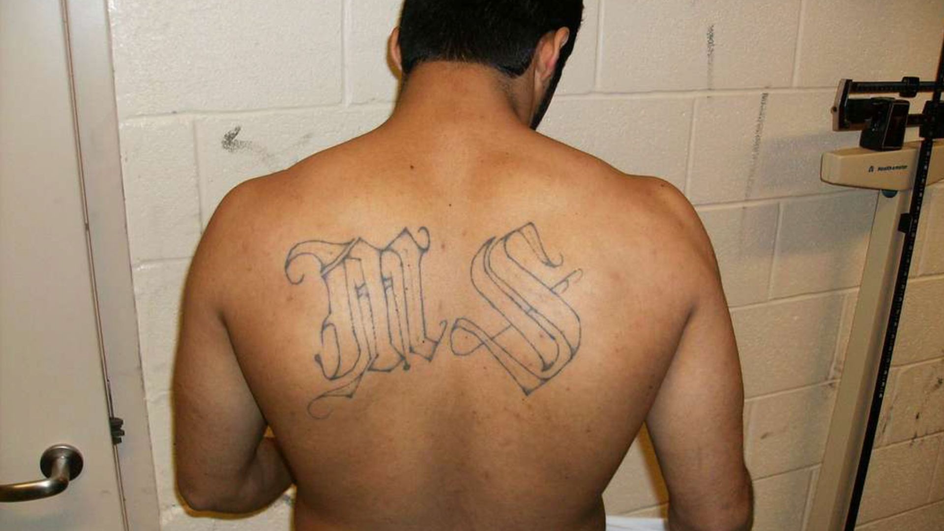EXCLUSIVE: Transgender MS-13 Gangster Convicted in Killing of 14 Year-Old Boy Files Discrimination Suit Against Donald Trump - Reduxx