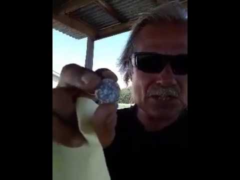 Sunday sermon [Text] | ccoutreach87