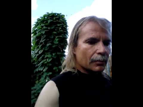 Kings 9 [Text] | ccoutreach87