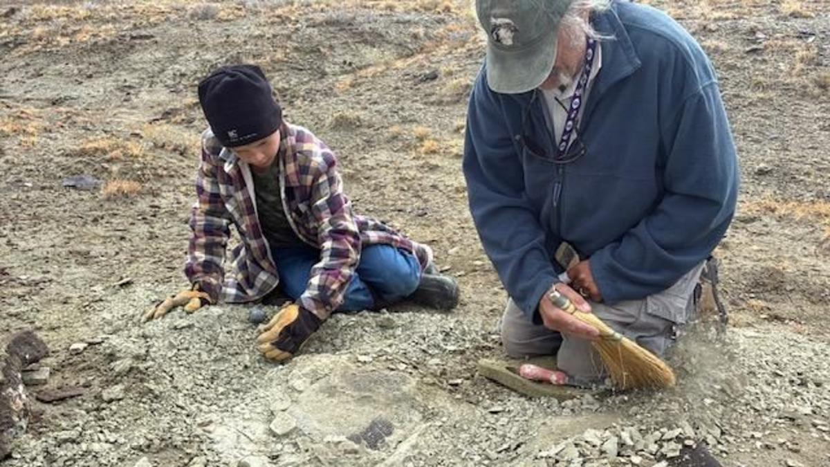 Young Rockhound Finds 48 Million-Year-Old Turtle Fossil