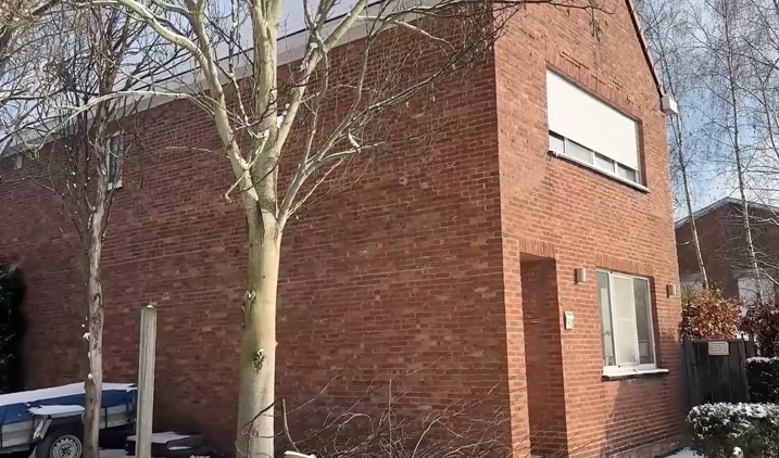 In the doghouse... Belgian court jails wife who boiled, starved, and caged her husband with their 60 chihuahuas, rejecting excuse of menopause and stress