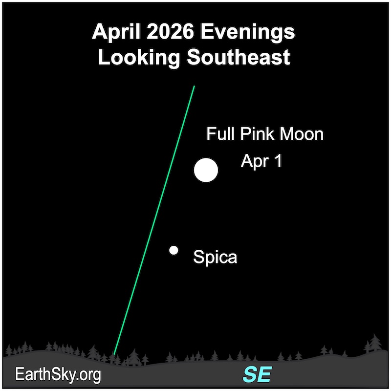 April full moon is the Pink Moon overnight on April 1